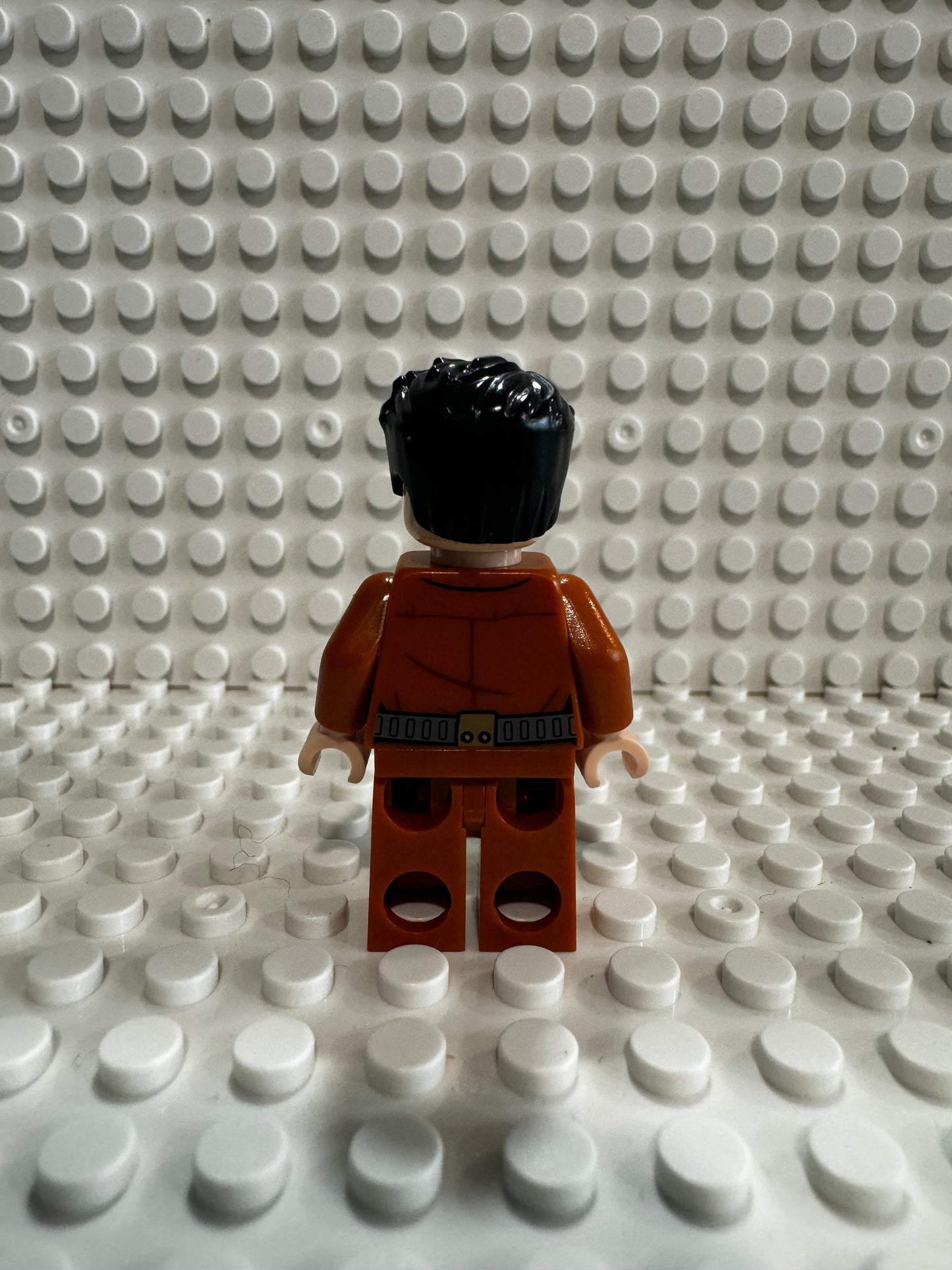 Poe Dameron, sw0865