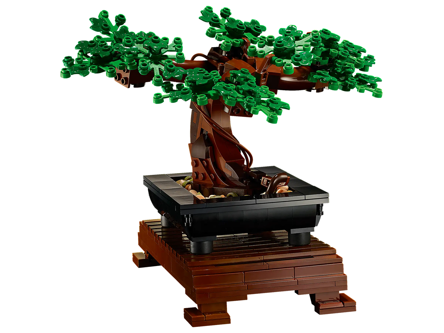 LEGO Botanical Collection Bonsai Tree