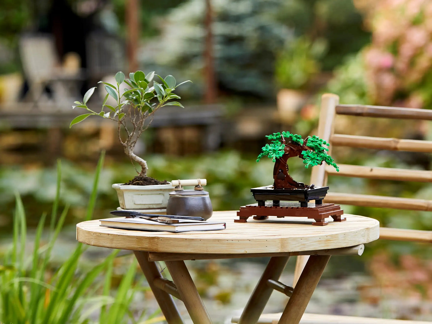 LEGO Botanical Collection Bonsai Tree