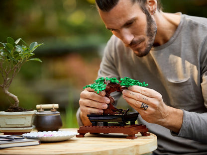 LEGO Botanical Collection Bonsai Tree